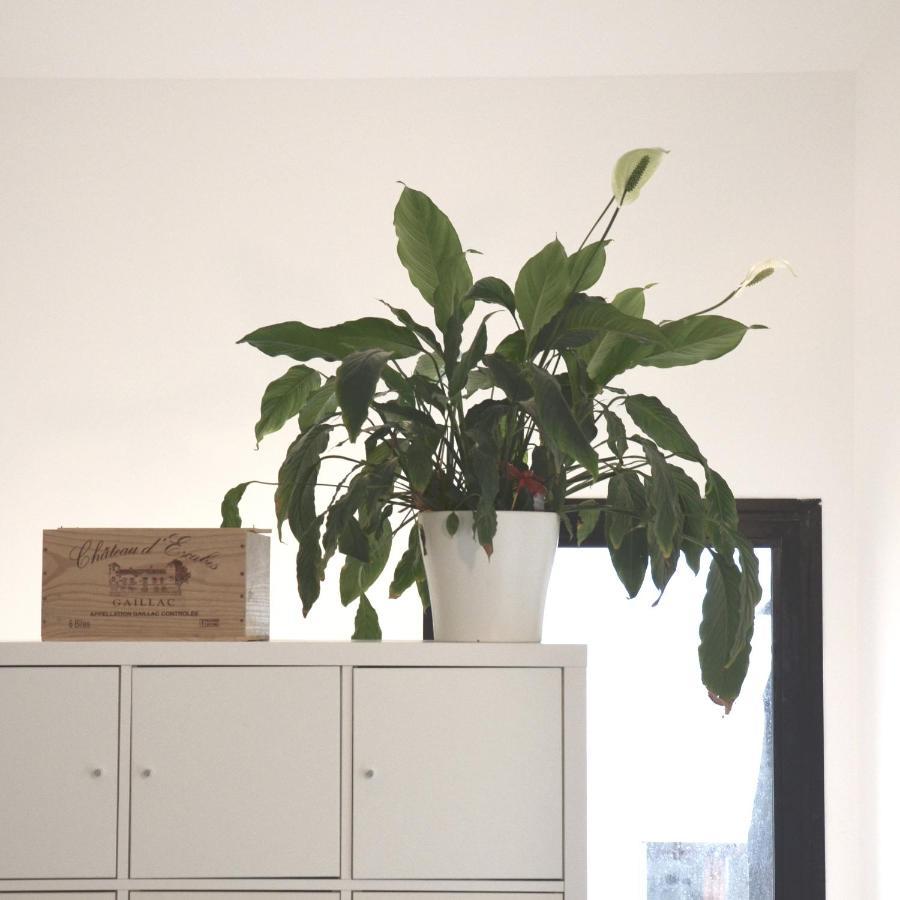 Plaisance Bouguenais - Appartement Nantes - Parking Gratuit Εξωτερικό φωτογραφία